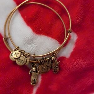 Alex and Ani Otter Gold Charm Bangle Bracelet